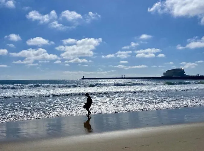Gardens - Historic House, By Hopstays Appartement Oporto