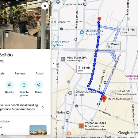 Gardens - Historic House, By Hopstays * Oporto